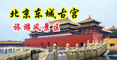 两性故事视蘋午夜中国北京-东城古宫旅游风景区